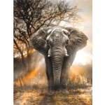 Teemantmaal T&auml;isteemanttikandid Loomade elevant 5D DIY Mosaiic Rhinestone kodukaunistus 20X30CM