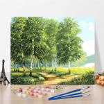 Digitaalne &otilde;limaal Numbrid &Otilde;limaal Kunst L&otilde;uend DIY Maali numbrite j&auml;rgi Kodukaunistus 40x50cm no frame