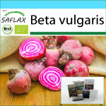 SAFLAX - Kinkekomplekt - Orgaaniline - Peet - Chioggia - 70 seemet - Koos kinkekarbi, kaardi, etiketi ja potisubstraadiga - Beta vulgaris