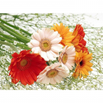 5D DIY teemantmaaling lill Gerbera ristpistega &uuml;mmarguse teemantmosaiigiga seinakaunistus Full Round 20x25CM