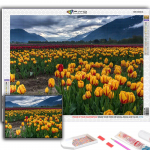 5D teemantmaaling lilled Tulbid DIY teemanttikandid kivikivist kodukaunistus Full Round 20X30CM