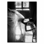 Desert Waterbuck Black White Art Plakat Puulehed Mets Looduspildid Skandinaavia l&otilde;uendimaal Seinakaunistus HD0110 21x30cm no frame