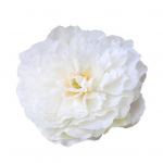 P&auml;ris simulatsioonilill Kunstlik erksav&auml;rviline pleekimatu