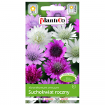 Kuivlill, kaunite lilleseemnete segu aeda, 1g