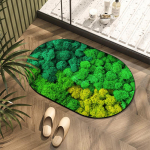 Diatomiga mudamatid 3D visuaalsed samblamatid Vannitoa p&otilde;randamatid WC imavad libisemiskindlad p&otilde;randamatid 40 * 60cm