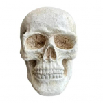 Halloweeni pealuu kujuke l&otilde;kkepesa kaunistus &otilde;udne k&otilde;rvitsa keraamika kuju skulptuur siseruumides v&auml;liaed kodukontori t&ouml;&ouml;laua ornament 1pc