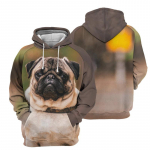 Animal Doberman Puppdog 3D Print Hoodie Meeste Suur pikkade varrukatega pulloverid Bullhead terjer Corgi Lemmikloomad Koer Graafilised kapuutsid Topid S