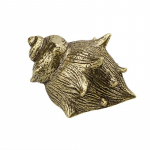 Uued vasest merikarbi kujukesed K&auml;&auml;bikud Kodu aiakaunistus Messing Loom Antiik Kontorikaunistused K&auml;sit&ouml;&ouml; Laud Tee Lemmikloom