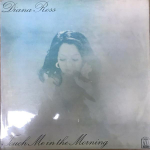 LP plaat DIANA ROSS Touch Me In The Morning OLE028 MOTOWN 1973 L&otilde;una-Korea SoulFunk Kasutatud