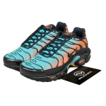 Nike Air Max Plus Meeste tossud DM0032-022 EU 44 mitmev&auml;rviline