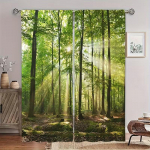 2 tk Looduslik Roheline Mets & P&auml;ikesekiirte Muster Kardinad, M&otilde;eldud Valguse Blokeerimiseks, Esmaklassiline Materjal, Sobib Elutuppa, Ole 24x59in(60x150CM)x2&Rod Pocket