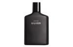ZARA Man Silver Meeste Parf&uuml;&uuml;mid Fougere Tualettvesi 100ml 90ml