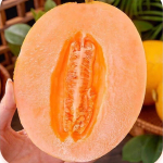 Magus ja mahlakas kuldne melon (u. 1,5 kg)