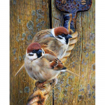 T&auml;is&uuml;mmargune teemantmaaling Sparrow 5D DIY teemanttikandid 20X30CM