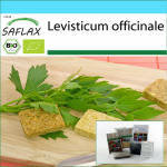 SAFLAX &ndash; kinkekomplekt &ndash; Orgaaniline &ndash; Leem &ndash; 100 seemet &ndash; Koos kinkekarbi, kaardi, etiketi ja potisubstraadiga &ndash; Levisticum officinale