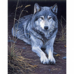 5D DIY Teemantmaali Hundi ristpiste komplekt T&auml;ispuurimise &uuml;mmargune tikandid Loom Mosaiik Kunst Pilt Rhinestones Kingitus Kodukaunistus Full Round 20x30CM