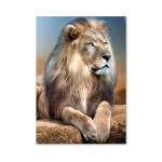 Moodne loomal&otilde;vi l&otilde;uendi maalimine plakatid ja tr&uuml;kised Seinakunstipildid elutoa magamistoa kodu kaunistamiseks 21X30cm No Frame