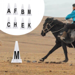 8x Dressage Cones,Letters Equipment Sports Easy to Set up Sturdy Lightweight Comprehensive