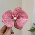 Liblikaorhidee Lilled Juukseklamber Juuksekaunistus Roosa Orhidee Juuksen&otilde;el K&uuml;lgkinnitusega Juukseklamber Peakate B&ouml;&ouml;mia Juukseklamber Juukseaksessuaarid