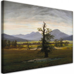 L&otilde;uenditr&uuml;kk, paljundus 60x40 mitmev&auml;rviline