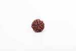 5 Mukhi Nepali Rudraksha helmes | Sertifitseeritud autentne Rudraksha vaimseks kasvuks | Ehtne p&uuml;ha helmes meditatsiooniks ja tervendamiseks, autor Navratan Gems pruun