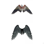 2Pieces Angel Wing Costume Theme Party Carnival Dress up Eagle and Black