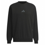 Adidas Meeskonna kaelusega &uuml;hev&auml;rviline sporditreeningi dressipluus meestele dressipluus must JZ8420 S