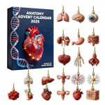 Advendikalender sisaldab 24 kingitust, Armas Figuur Nukk Advendikalender, &Uuml;llatusm&auml;nguasjadega Tagasiarvestuskalender, Kogutavad Figuurid Kingitus Lastele