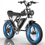 C20 YVY electric bike 1000W dual motor 48V20AH electric bike off-road bike 1000W 48V 20AH