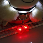 LED-valgustusega Bone ID Tag lemmiklooma kaelarihma ripats jalutamiseks