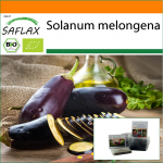 SAFLAX - Aed kotis - Orgaaniline - Baklažaan - Pikk lilla - 20 seemet - Substraadiga sobivas p&uuml;stises kotis - Solanum melongena