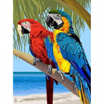 5D DIY Teemantmaaling Papagoi T&auml;is&uuml;mmargune &uuml;mmargune puur Linnud Loomade Teemanttikandid Ristpistes Mosaiigikomplektid K&auml;sitsi valmistatud kingitus Full Round 60x90CM