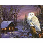 5D DIY Teemantmaaling &Ouml;&ouml;kull Teemanttikandid T&auml;ismosaiigikomplektid Ristpistes Kodukaunistus K&auml;sitsi valmistatud kingitused Round 20x30cm