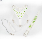 Naastud nahast koerarakmed, needid kaelarihma ja jalutusrihma komplekti keskmise suurusega koertele S 43-51CM