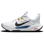 Nike Juniper Trail 2 Next naiste tossud Naiste Valged Kuldsed Sinised Plaatina Must DM0821-104 38 gray