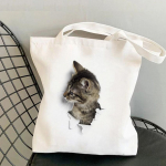 3D Realistlik Armas Kassipoja Prindiga Suure Mahutavusega L&otilde;uendist Ostukott &Otilde;pilastele