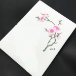 Tikandiga plaaster/vapp Korea v&auml;ikese ploomiga