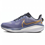 Nike Vomero 17 Diffused Blue Gold Naiste tossud Ashen-Slate White Metallic-Gold FB8502-400 40