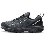 Salomon X Braze GTX P&otilde;rutuskindlad Libisemiskindlad Madalad V&auml;litingimustes Funktsionaalsed Jalan&otilde;ud Naiste Jalan&otilde;ud Tindi-Must L47180800 36⅔