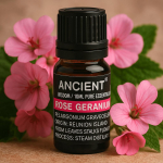 Rose Geranium Essential Oil 10 ml Pelargonium Graveolens