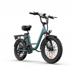 URLIFE-E20 20 x3 Paksude Rehvidega Elektrijalgratas - 250W Mootor, 48V 13AH Aku, 80-100KM S&otilde;iduulatus roheline