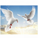 &Uuml;marpuur 5D Teemantmaal Dove Bird 5D Teemanttikandid Ristpistes Pulmakaunistus 20X30CM