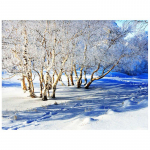 N&auml;put&ouml;&ouml; Vaigust Teemantmaal Peterburi ristpistes Teemanttikandid Maastik Rhinestone 20X30CM