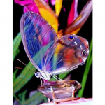 T&auml;ielik 5D teemantmaal Lilledega liblikas Tikand Ristpistes Kodukaunistus K&auml;sitsi valmistatud kingitus 25x30cm