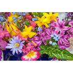 5D Teemantmaali Ristpistekomplektid 5D K&auml;sitsi valmistatud Teemanttikandid Maastikuloomad 3D Maalimine Kingitus Kunst Kodukaunistus 20x15CM