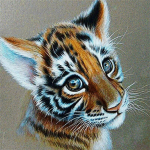 Uus 5D DIY Teemantmaaling Little Tiger Teemanttikandid Loomade Ristpistes T&auml;is&uuml;mmargune puur Kodukaunistamise K&auml;sitsi kingitus Full Round 20x20CM