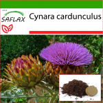 SAFLAX - Cardoon / Hispaania arti&scaron;okk - 50 seemet - Potisubstraadiga paremaks kasvatamiseks - Cynara cardunculus