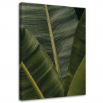 L&otilde;uenditr&uuml;kk Banana Leaves Nature 40x60 roheline