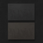 Album Agust D &ndash; [D-DAY] Juhuslik