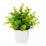 Simuleeritud taimepott Kunstlik potitaim ei n&auml;rtsi kunagi tuhmumata stseeni paigutus Filmirekvisiit A